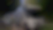 20241015_102717
