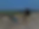 bis_09_09_112