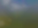bis_09_09_189