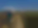 bis_12_09_314