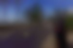 dsc8384
