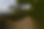 dsc8581