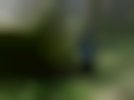 dscn2495_1