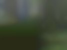 dscn2499_1