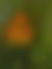 dscn2811_1