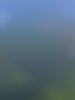 engadin_2021_052