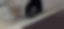 f9b179_2996dd40bddb4b0aba3b6fd38fa74aa1_mv2