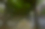 nordspanien_0316