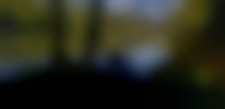 polen_296_1
