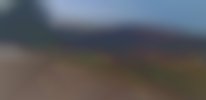 polen_383_1